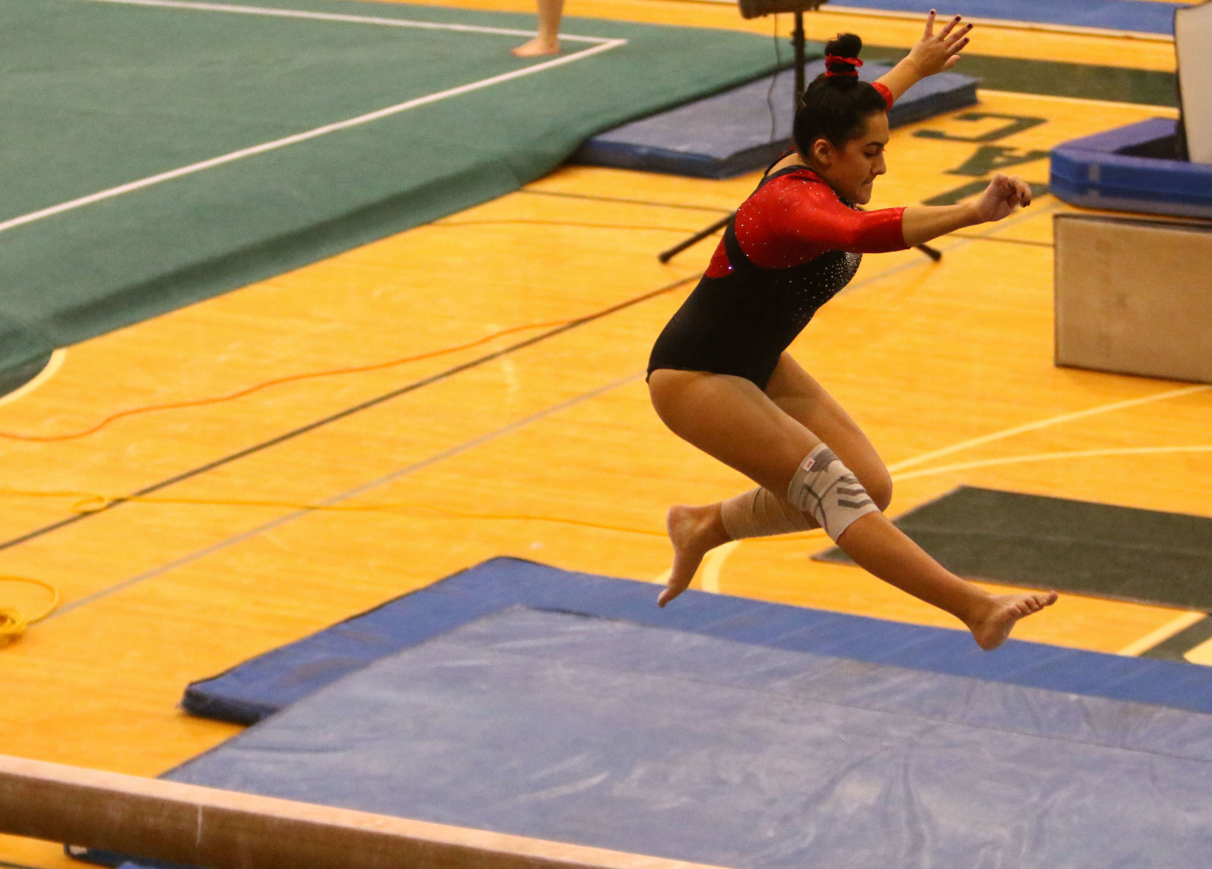 Gallery: Gymnastics Regional